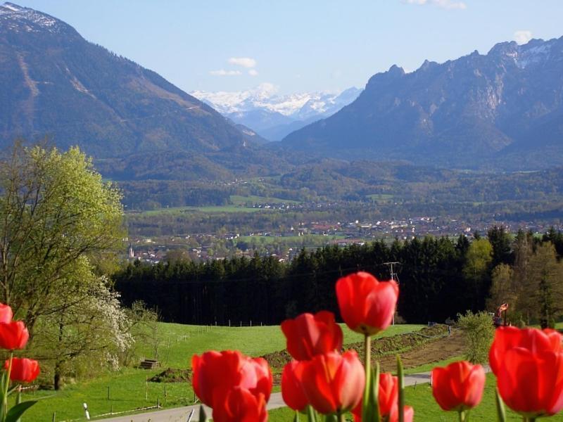 Huberbauernhof Ferienwohnungen Piding Esterno foto